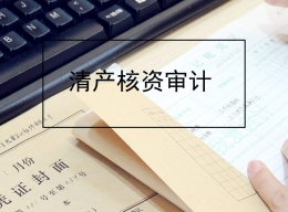 清产核资审计